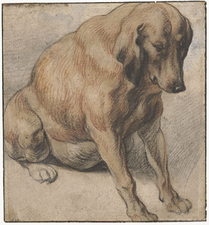 seated-dog